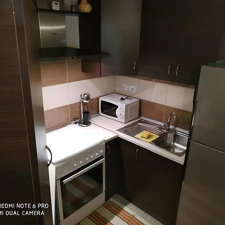 アパート Rodi Sotira (Trikala)